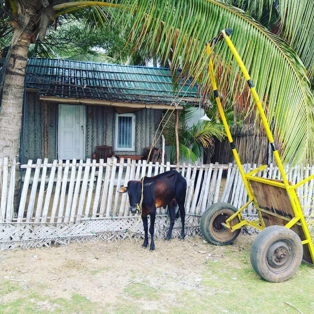 Kite Bay Villa Kalpitiya Ngoại thất bức ảnh